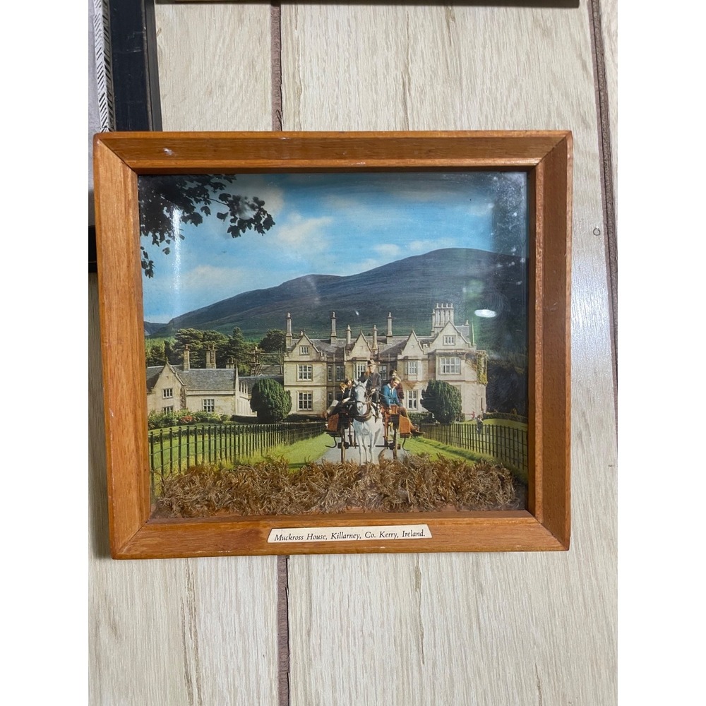 vintage 3D framed Postcard Ireland Muckross House Killarney County Kerry